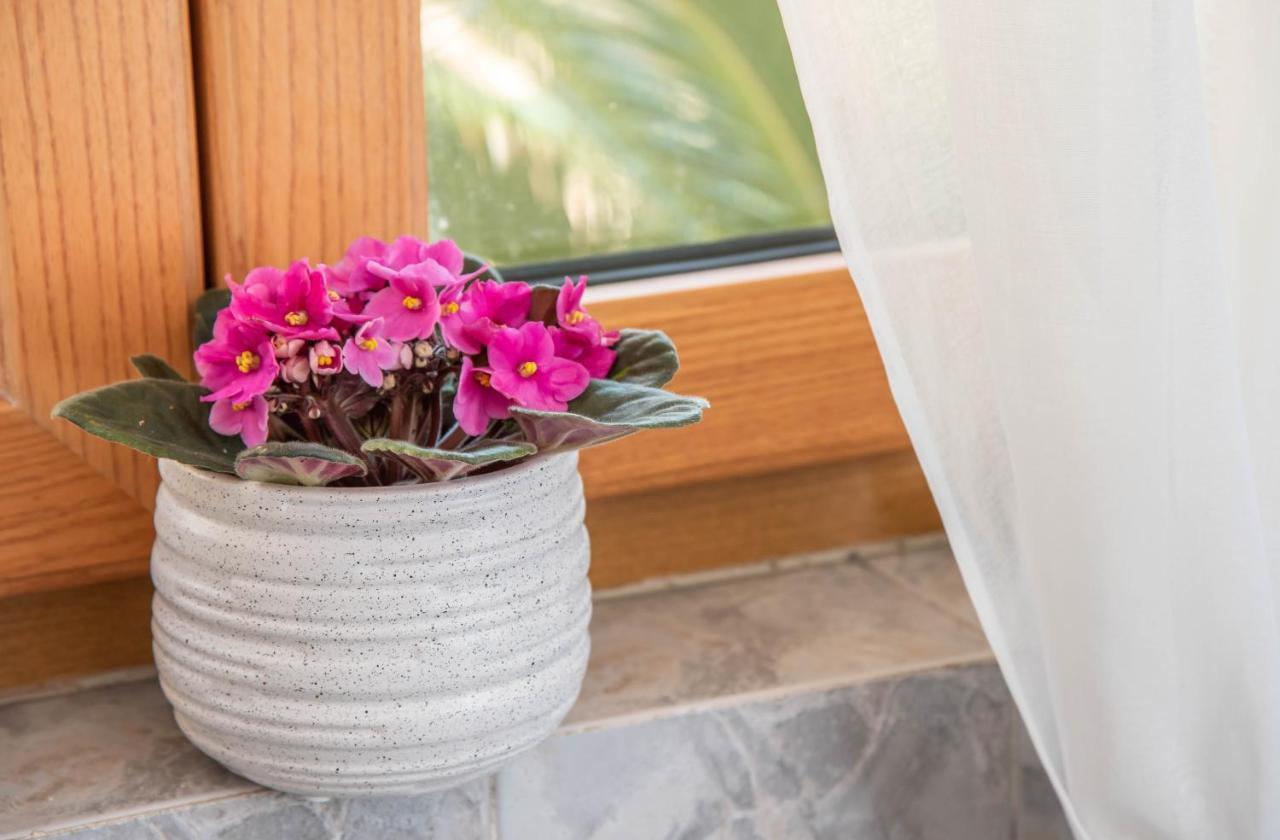 קוטור S&P City Center Apartments מראה חיצוני תמונה